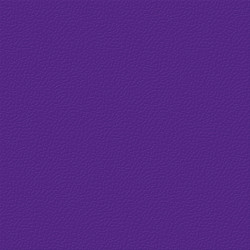 Спортивное покрытие Desoma Sport Universal 6,5 Gem surface 1002